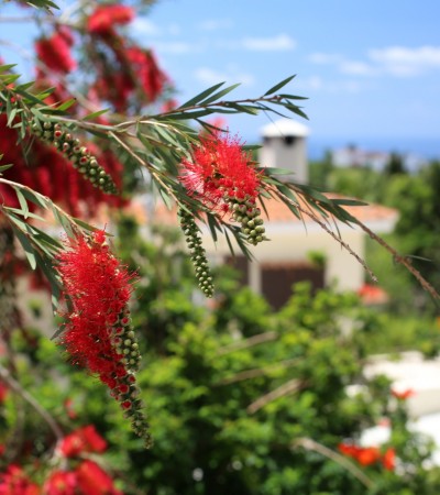 Kamares Village by Leptos Estates