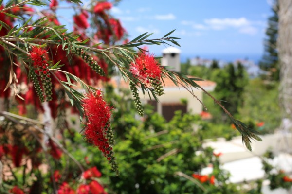 Kamares Village by Leptos Estates